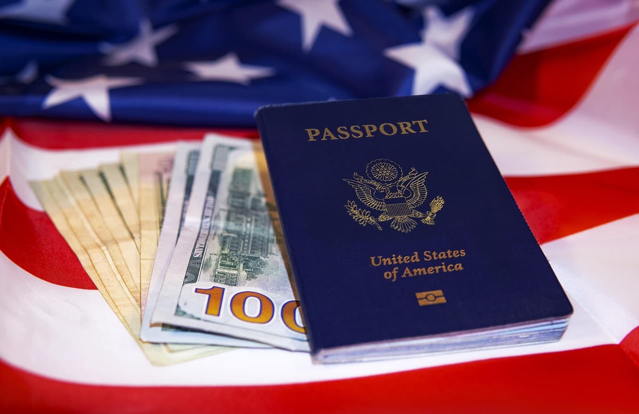 Immigration & Visa Services - Professional Services